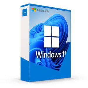 windows 11 pro DSP OEI DVD e1657874393808